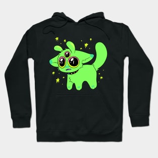 Funky lil cat Hoodie